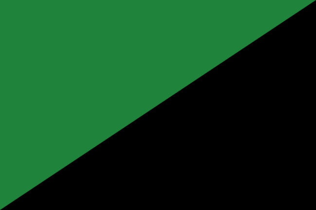 800px-Darker_green_and_Black_flag.svg